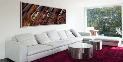 coustico frame